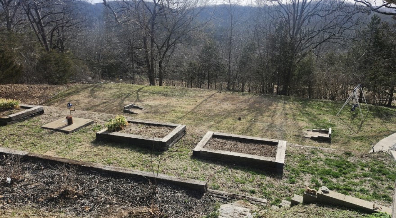 Backyard with raised garden beds and a large open lawn with trees in the background